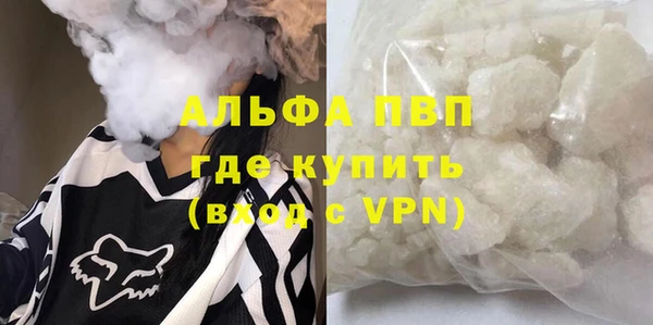 шишки Абаза