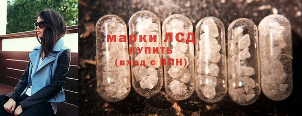 шишки Абаза