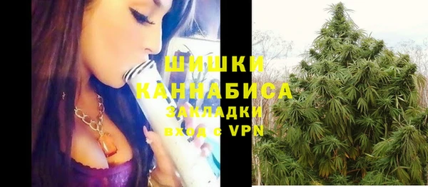 шишки Абаза