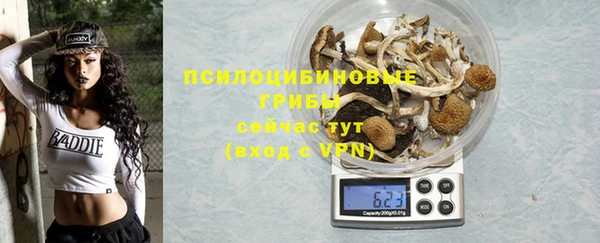 каннабис Новодвинск