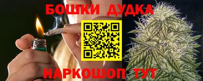 гашик Пыть-Ях