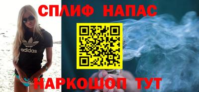 гашик Пыть-Ях
