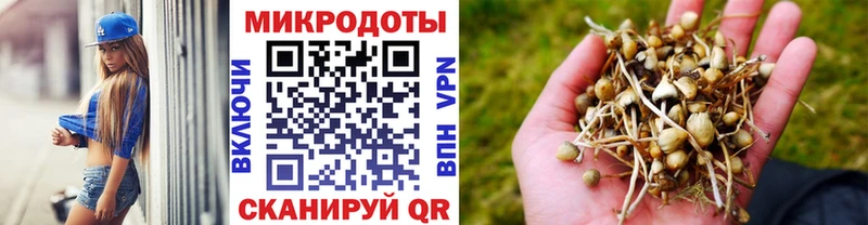 MEGA ТОР Ялта Галлюциногенные грибы ЛСД