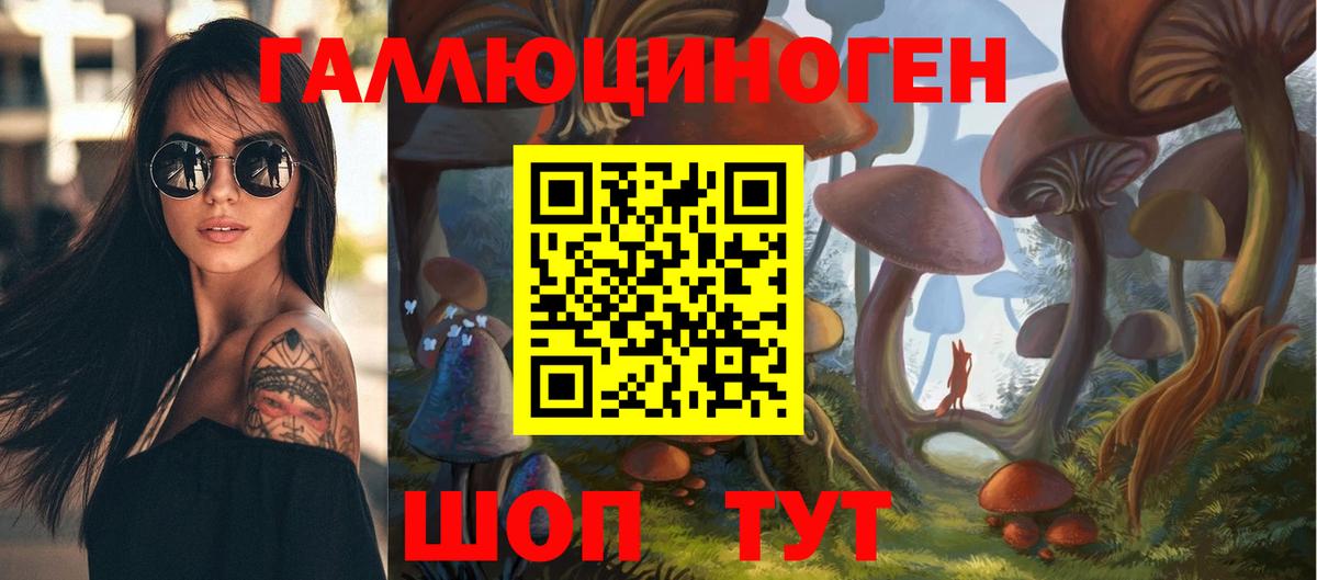 Галлюциногенные грибы прущие грибы  Вход с VPN  Ялта  Псилоцибиновые грибы Psilocybe 