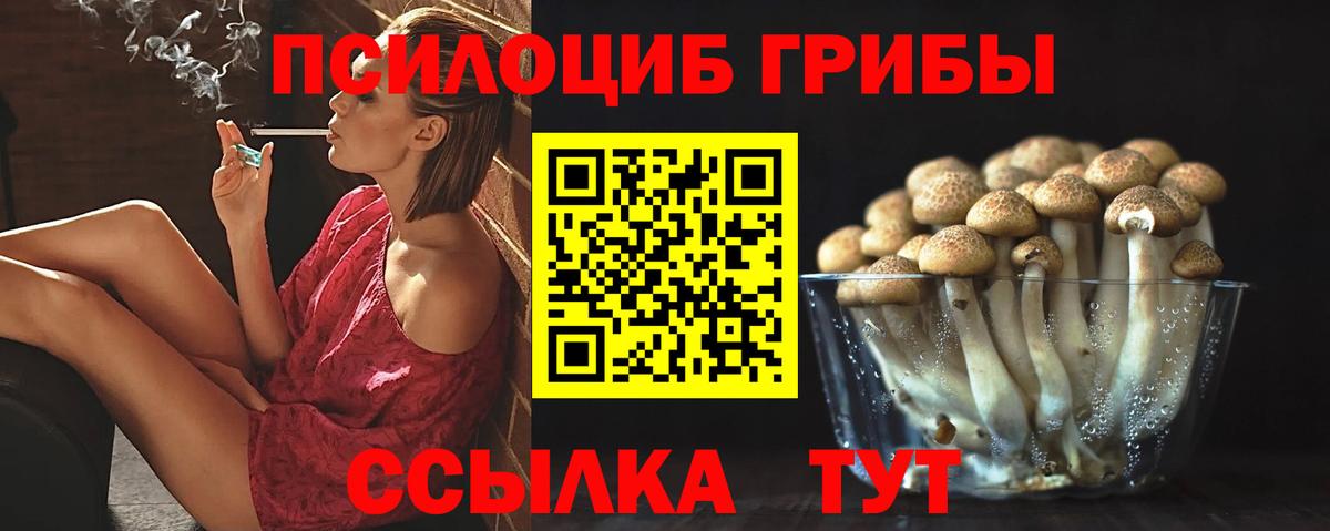 Псилоцибиновые грибы ЛСД Ялта